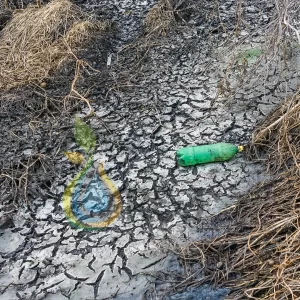 Read more about the article What is Soil Pollution